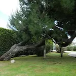 Invento Unconventional Maison Nocleg ze śniadaniem Civitanova Marche