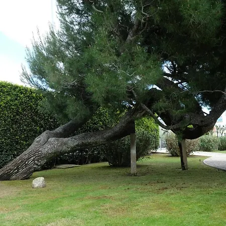 Invento Unconventional Maison Bed & Breakfast Civitanova Marche