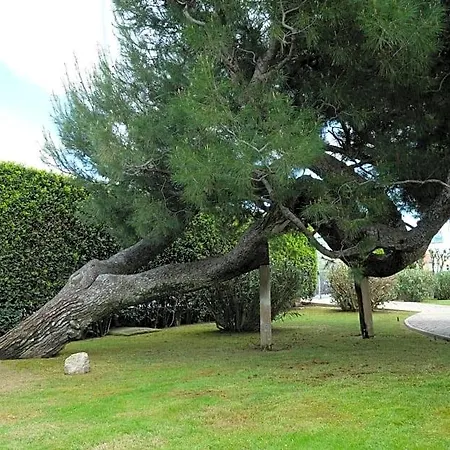 Oda ve Kahvaltı Invento Unconventional Maison Civitanova Marche
